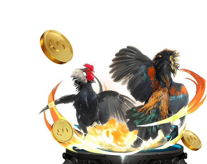 Blackjack tại nohu90
